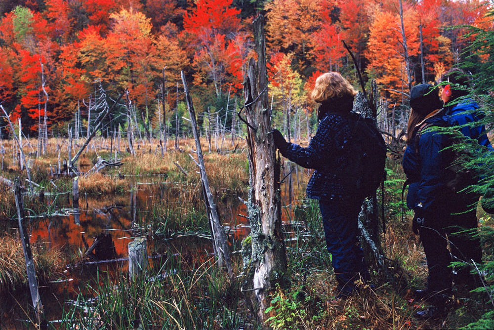 Women and Tracking at Rowe Camp and Conference Center Keeping Track